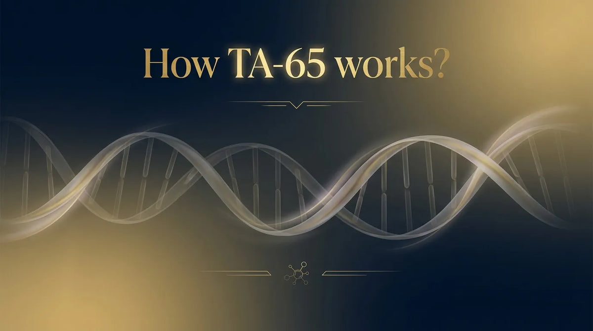 How TA-65 works